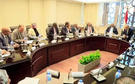 عبد اللطيف يؤكد تقديم الدعم الكامل للأشقاء في السودان لتعزيز التعاون والأخوّة