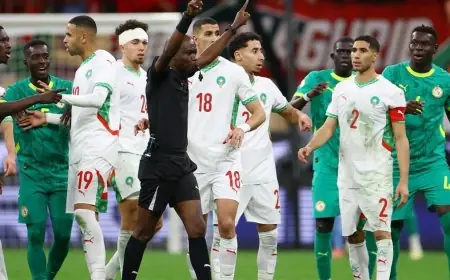 السنغال تتعاقد مع منقذ المغرب لاستعادة لقب كأس إفريقيا