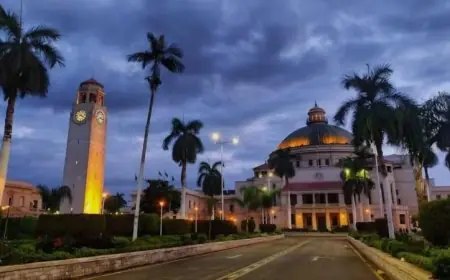 جامعة القاهرة تعلن عن إجراء الدراسة “أونلاين” الأربعاء والخميس وتأجيل امتحانات 25 و26 مارس