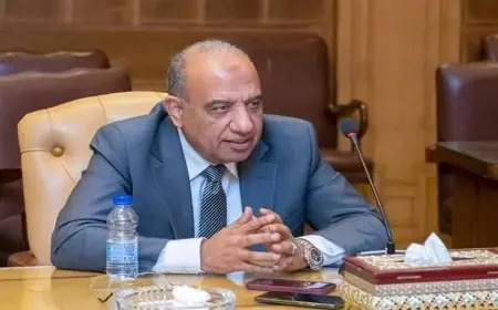 وزارة الكهرباء تعزز استعداداتها لضمان أمن واستقرار الشبكة الكهربائية الموحدة