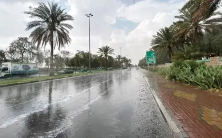 أمطار غزيرة تضرب القاهرة الكبرى وتحذيرات من تقلبات حادة في الطقس