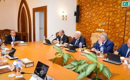 وزير الخارجية يستعرض تفاصيل الموقف المصري تجاه التطورات الإقليمية الأخيرة