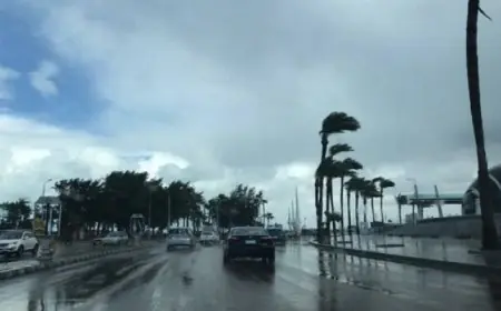 الأرصاد الجوية تحذر من عواصف شديدة وطقس متقلب خلال الساعات القادمة