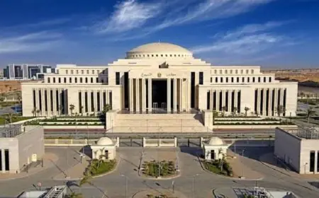 مجلس الشيوخ يعبر عن تأييده الكامل للتحركات الإقليمية والدولية لمصر بقيادة الرئيس