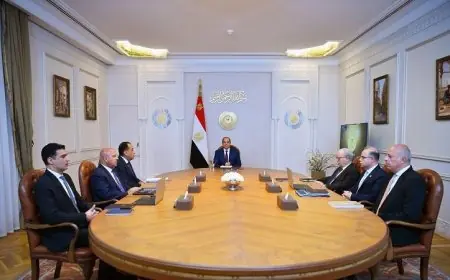 السيسي يؤكد ضرورة حماية الاقتصاد من تأثيرات الممارسات الضارة