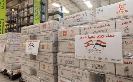 مصر تُرسل ألف طن من المساعدات الإغاثية العاجلة إلى لبنان تنفيذًا لتوجيهات الرئيس السيسي