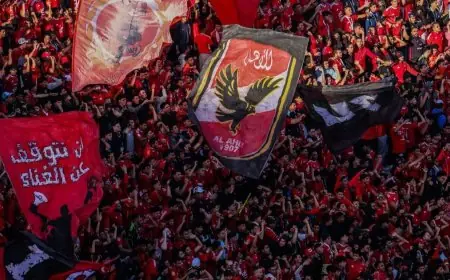 الأهلي يبدأ مرحلة التصحيح بإقالة 3 لجان والتغييرات مستمرة