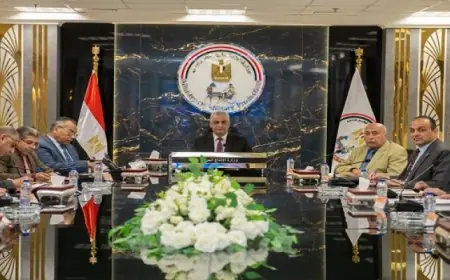 الإنتاج الحربي يشكل لجنة لمتابعة خطوات ترشيد استهلاك الكهرباء في الشركات التابعة وتحسين الإنتاجية