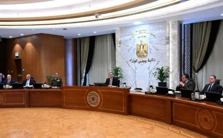 مدبولي يؤكد استمرار الحكومة في متابعة تداعيات الأحداث الراهنة في المنطقة بجدية