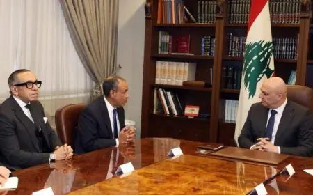 وزير الخارجية المصري يلتقي رئيس لبنان في بيروت ويقدم رسالة دعم قوية من القيادة والشعب المصري