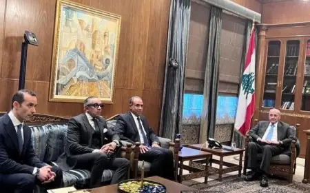 وزير الخارجية المصري يلتقي رئيس مجلس النواب اللبناني في بيروت ويعبر عن دعم مصر الثابت للبنان
