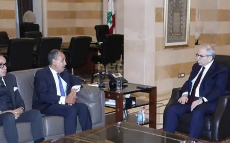 وزير الخارجية يتباحث مع رئيس الوزراء اللبناني ويقدم رسالة دعم من الرئيس السيسي