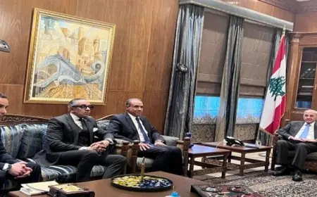 وزير الخارجية المصري يعقد لقاء مثمر مع رئيس مجلس النواب اللبناني في بيروت ويعبر عن دعم مصر للبلد الشقيق لبنان
