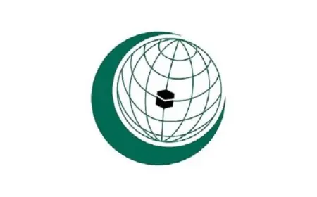 حقوق الإنسان في التعاون الإسلامي تؤيد القرار الأممي الذي يدين الهجمات الإيرانية