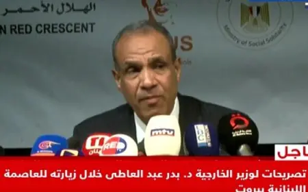 وزير الخارجية يؤكد من مرفأ بيروت دعم مصر الدائم لشعب لبنان الشقيق