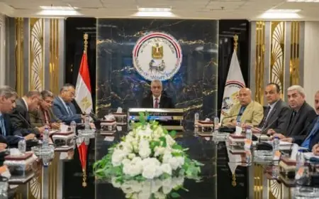 وزير الدولة للإنتاج الحربي يعلن عن إنشاء لجنة لمتابعة ترشيد استهلاك الكهرباء