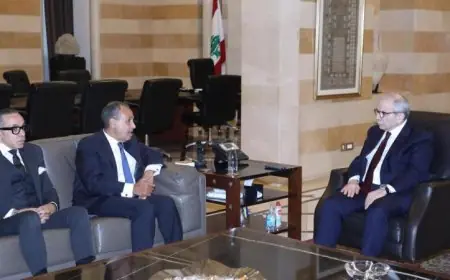 وزير الخارجية يلتقي رئيس وزراء لبنان لنقل رسالة دعم من الرئيس