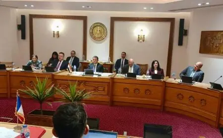 جولة جديدة من المشاورات السياسية بين مصر وفرنسا لتعزيز التعاون الثنائي
