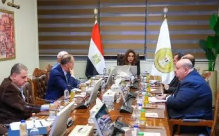 لقاء وزير العمل مع السكرتيرة التنفيذية للتحالف العالمي للعدالة الاجتماعية يعزز التعاون في تحقيق العدالة الاجتماعية