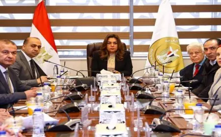 عوض يتخذ قرارات استراتيجية لتفعيل تنظيم أنشطة المخالفات