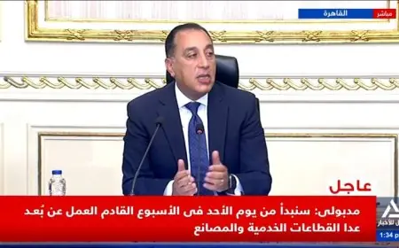 مدبولي يعلن انطلاق العمل عن بعد لمدة شهر في القطاعين العام والخاص ابتداء من 5 أبريل