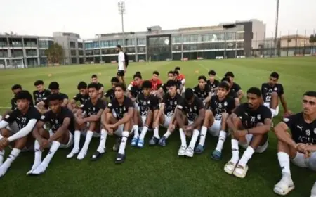 رئيس الوزراء يعلن تطبيق نظام العمل عن بعد في القطاعين العام والخاص بدءًا من الأحد في أبريل