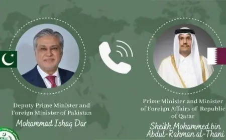 وزير الخارجية الباكستاني يناقش التطورات الإقليمية مع نظيره القطري في اتصال هاتفي