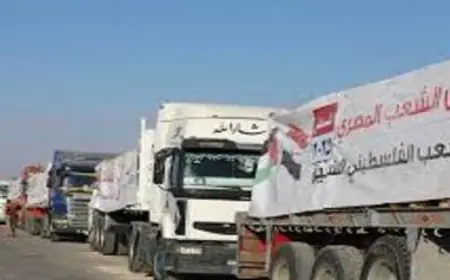 قافلة زاد العزة 166 تصل إلى غزة لتقديم الدعم للفلسطينيين