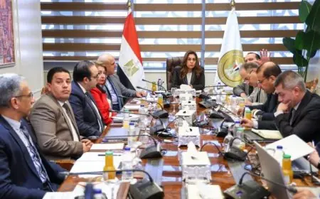 وزيرة التنمية المحلية تستعرض مع قيادات الوزارة آخر تطورات الملفات التنفيذية الهامة