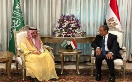 وزير الخارجية يناقش مع نظيره السعودي خطوات خفض التصعيد وتحقيق التهدئة في المنطقة