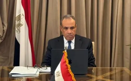 وزير الخارجية يؤكد أن الوحدة هي سر قوة العالم العربي