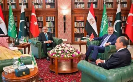 وزير خارجية باكستان يعلن عن نتائج إيجابية للمناقشات مع مصر والسعودية وتركيا