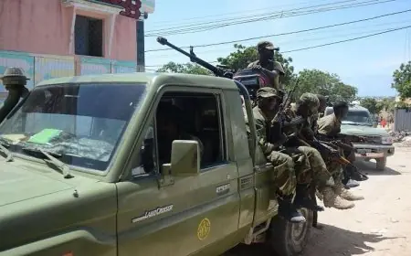 الجيش الصومالي يحقق انتصاراً كبيراً بمقتل وإصابة 31 عنصراً من المليشيات الإرهابية في دينوناي