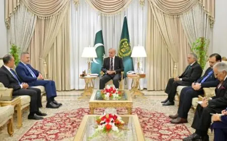 رئيس وزراء باكستان يستضيف وزيري خارجية مصر وتركيا لتعميق التعاون المشترك