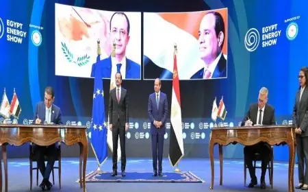الرئيس السيسي والرئيس القبرصي يوقعان اتفاقية تعاون استراتيجية في قطاع الغاز الطبيعي