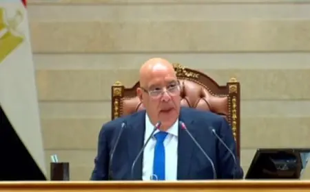 مجلس النواب يوافق على اتفاقيات دولية لتعزيز الاقتصاد ودعم التحول الرقمي