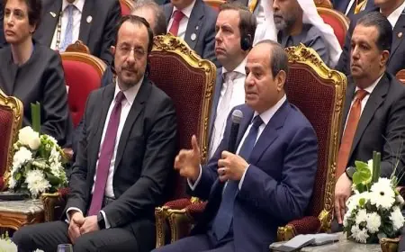 الرئيس السيسي يدعو شركات الطاقة لتعزيز الإنتاج لمواجهة الأزمة الحالية