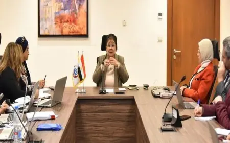 نائب وزير الصحة تتابع جهود تعزيز صحة الأم والطفل مع مركز معلومات مجلس الوزراء