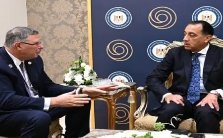 مدبولي يؤكد دعم الحكومة للجهود المبذولة لجذب استثمارات جديدة في مجالات البحث والاستكشاف