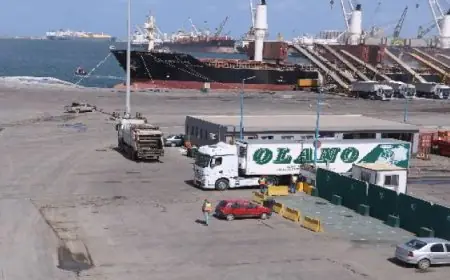 ميناء دمياط يطلق خدمة ترانزيت مبتكرة للشحنات عبر خط الرورو نحو دول الخليج