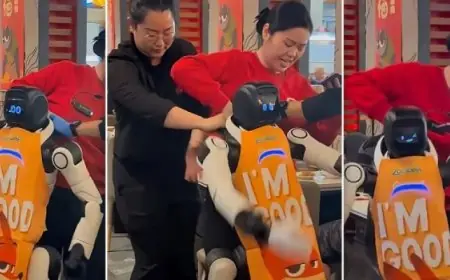 مطعم يعيد تشغيل روبوت رقص مثير بعد حادثة فقدان السيطرة عليه