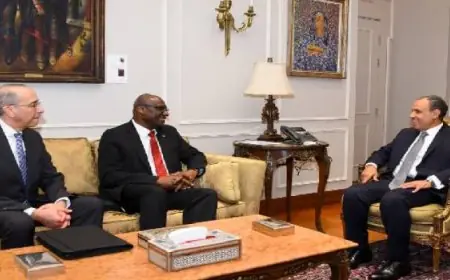 وزير الخارجية المصري يجتمع برئيس جامعة كارلتون الكندية لتعزيز التعاون الأكاديمي والعلمي مع كندا