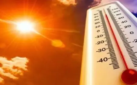 الأرصاد تحذر من ارتفاع درجات الحرارة نهارا وانخفاضها ليلا في معظم المناطق مع تسجيل 17 درجة مئوية في القاهرة