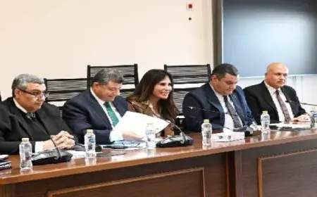 وزيرة الإسكان تناقش الحساب الختامي لموازنتي الوزارة وهيئة المجتمعات في اجتماع خطة النواب 2024/2025