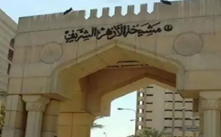 القصف المدفعي الإسرائيلي والغارات الجوية تضرب عدة بلدات في جنوب لبنان