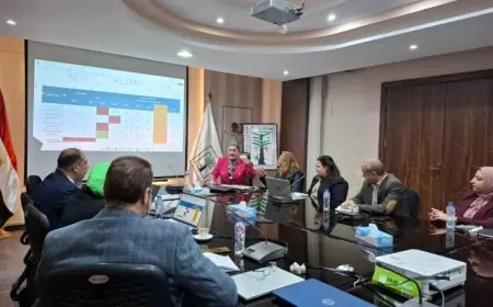 السنباطي تلتقي بمسؤولين من معلومات الوزراء لبحث الاستراتيجية الوطنية لتنمية الطفولة المبكرة