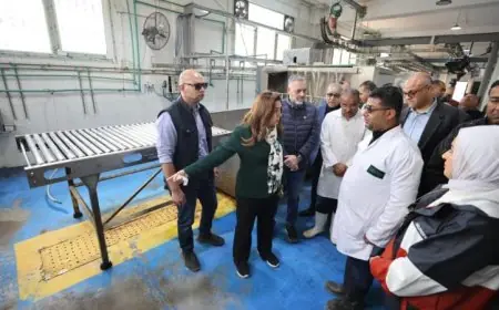 وزيرة التنمية المحلية تقرر إقالة مدير مديرية الطب البيطري في الإسكندرية