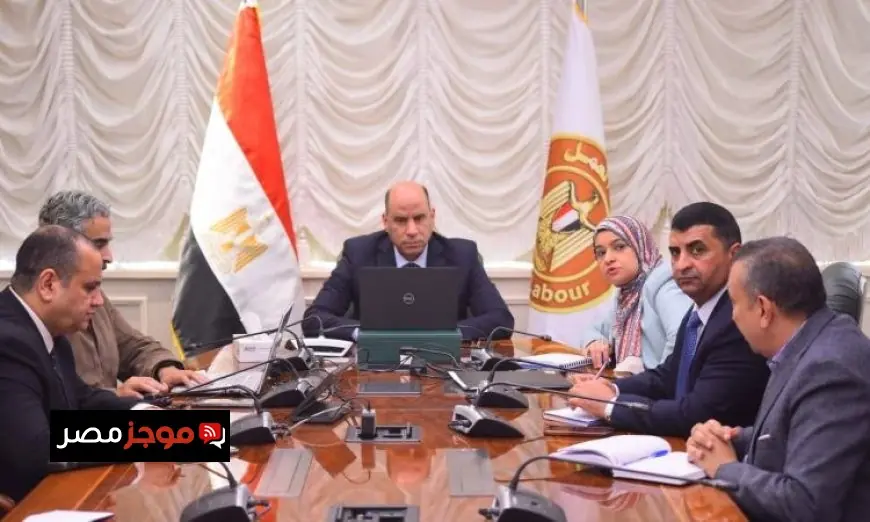 وزير العمل يؤكد ضرورة متابعة أحوال العمالة المصرية في الخارج