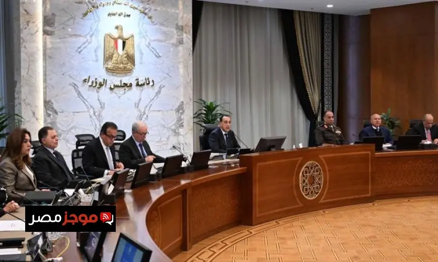 الحكومة المصرية توافق على طلب لإجراء مسح جوي جيوفيزيقي شامل لاستكشاف ثروات البلاد