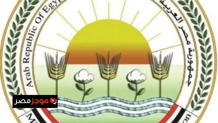 عبد العاطي ومستشارو ترامب يناقشون تصعيد الأوضاع في المنطقة العربية والإفريقية